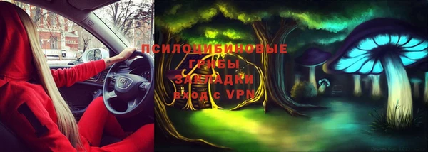 дмт Протвино