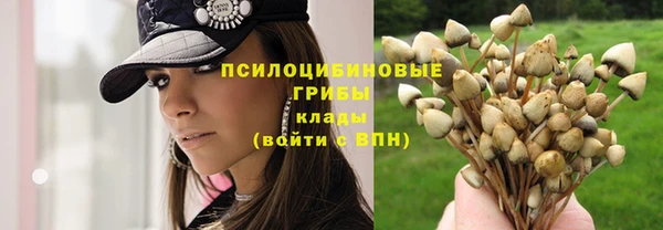метадон Лагань