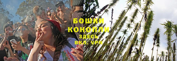 дмт Протвино