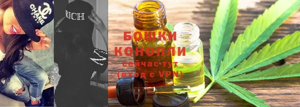 дмт Протвино