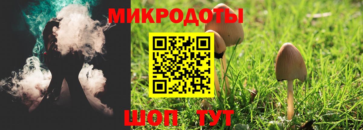 Псилоцибиновые грибы GOLDEN TEACHER  Галлюциногенные грибы Psilocybine cubensis  Вход с VPN  Рузаевка 